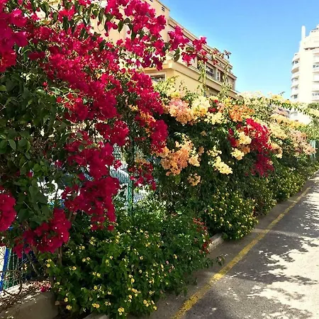 Seafront Spacious Apt *